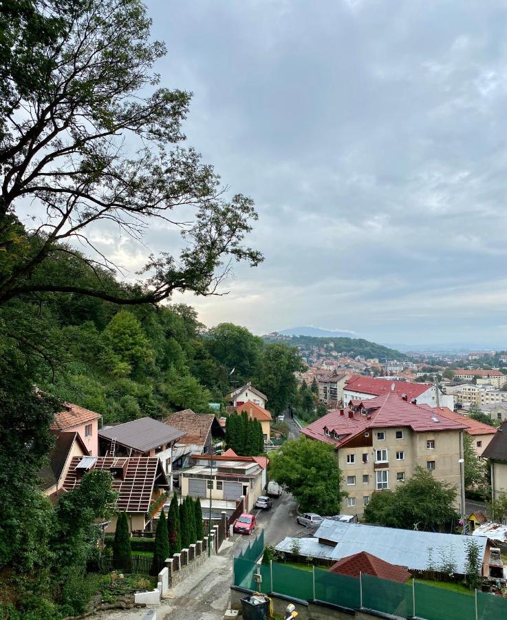 Nature Apartment - Minutes Away From The Old Town And Afi Mall Brasov Ngoại thất bức ảnh
